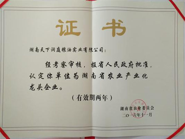 2016龍頭企業證書